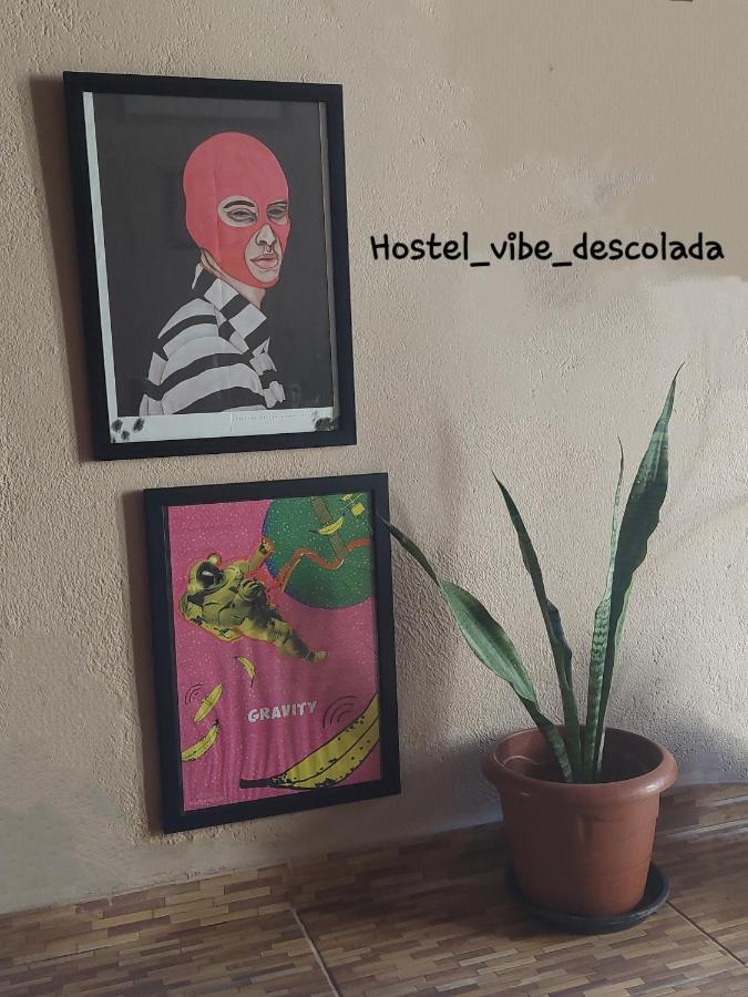 @Hostel_Vibe_Descolada Recife Exterior photo