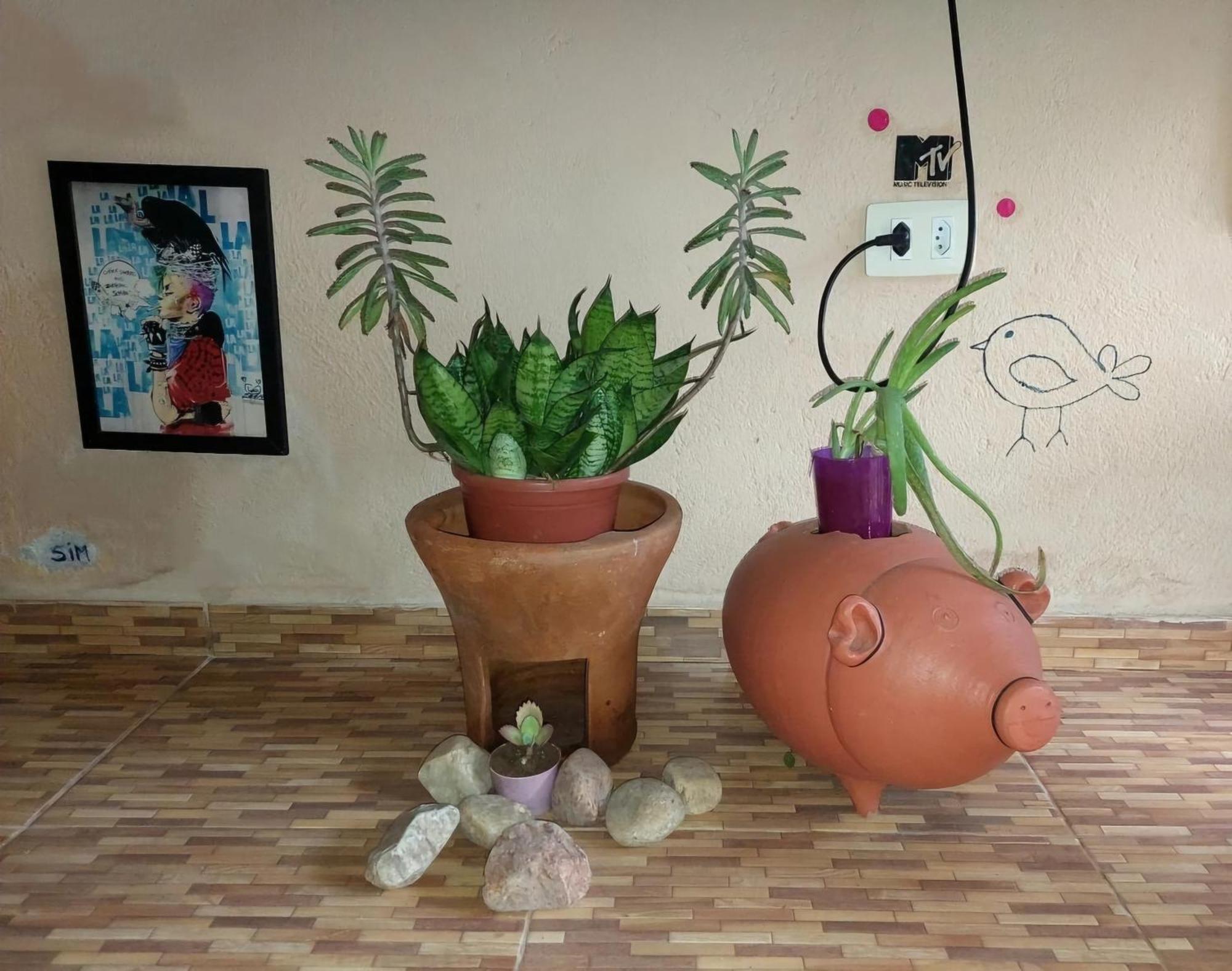 @Hostel_Vibe_Descolada Recife Exterior photo